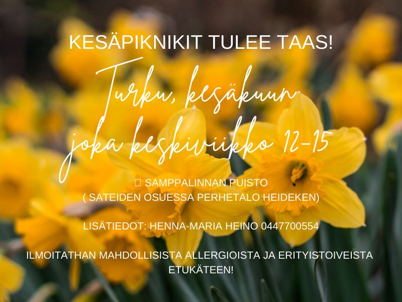 Kuvan taustana valokuva keltaisista kukista. Kuvassa tekstinä tietoa Kesäpiknikeistä: Kesäpiknikit tulee taas! Turku, kesäkuun joka keskiviikko klo 12-15, Samppalinnan puisto (sateiden osuessa Perhetalo Heideken) Lisätiedot: Henna-Maria Heino: 044 7700554. Ilmoitathan mahdollisista allergioista ja erityistoiveista etukäteen!